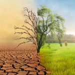 La crisis climática y su impacto en la producción de alimentos en Honduras